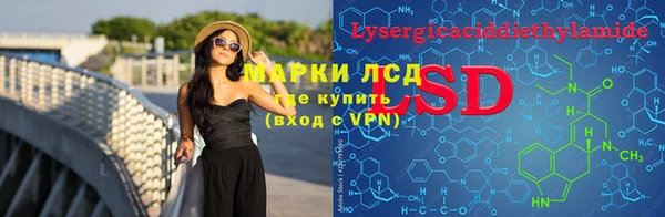 PSILOCYBIN Армянск