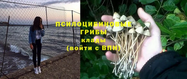 ешки Аркадак