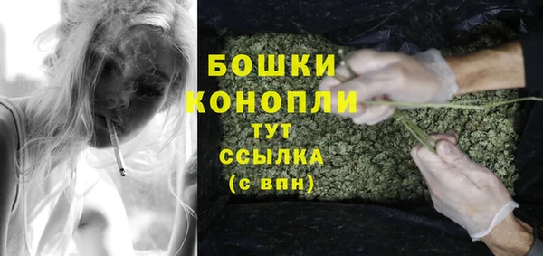 ешки Аркадак