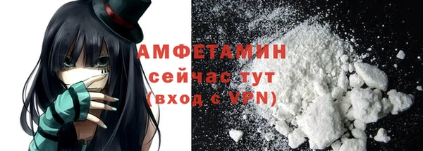 ешки Аркадак